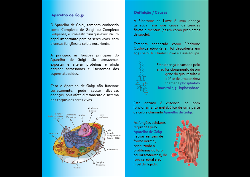 Diapositivo 3