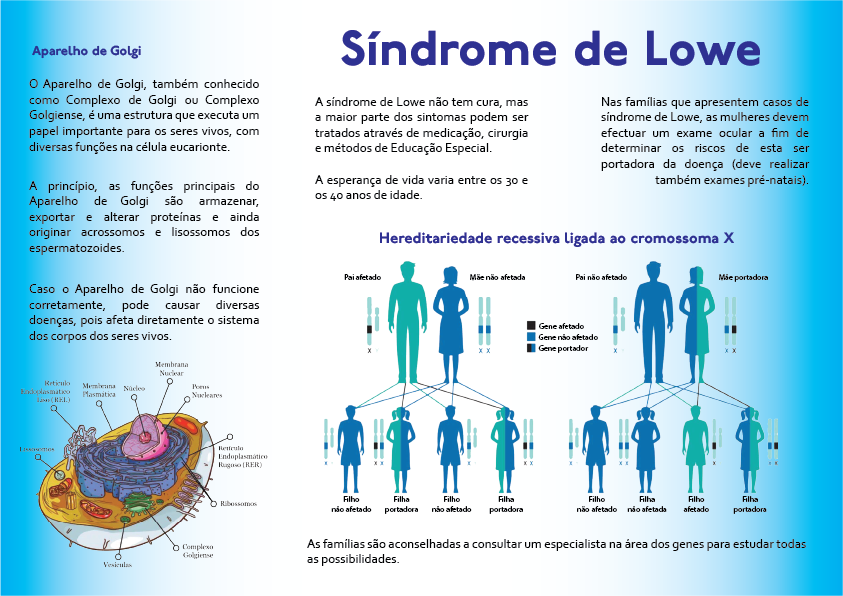Diapositivo 4
